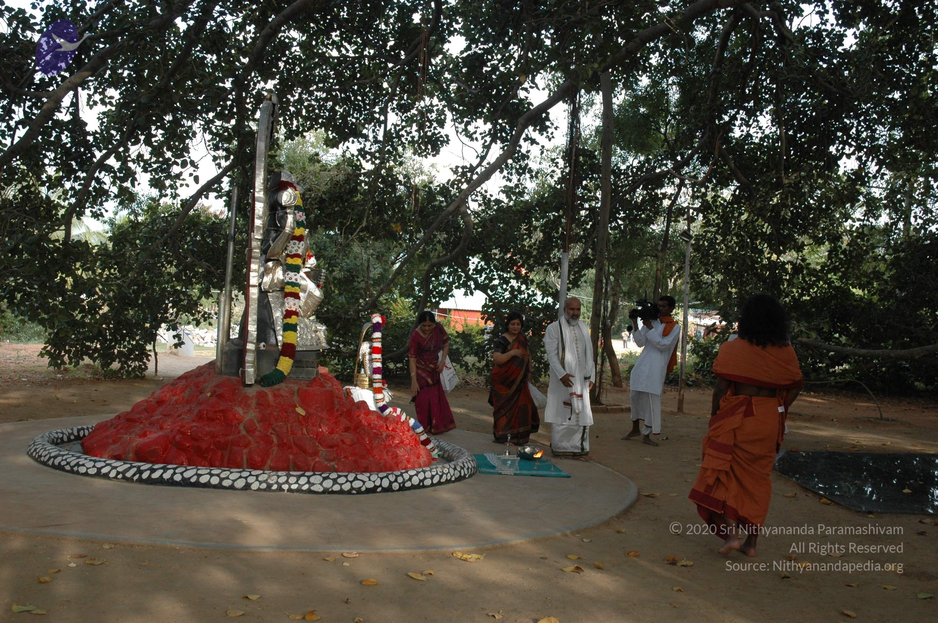 20061021_Photo_1019_DSC_8140_CMP_WM