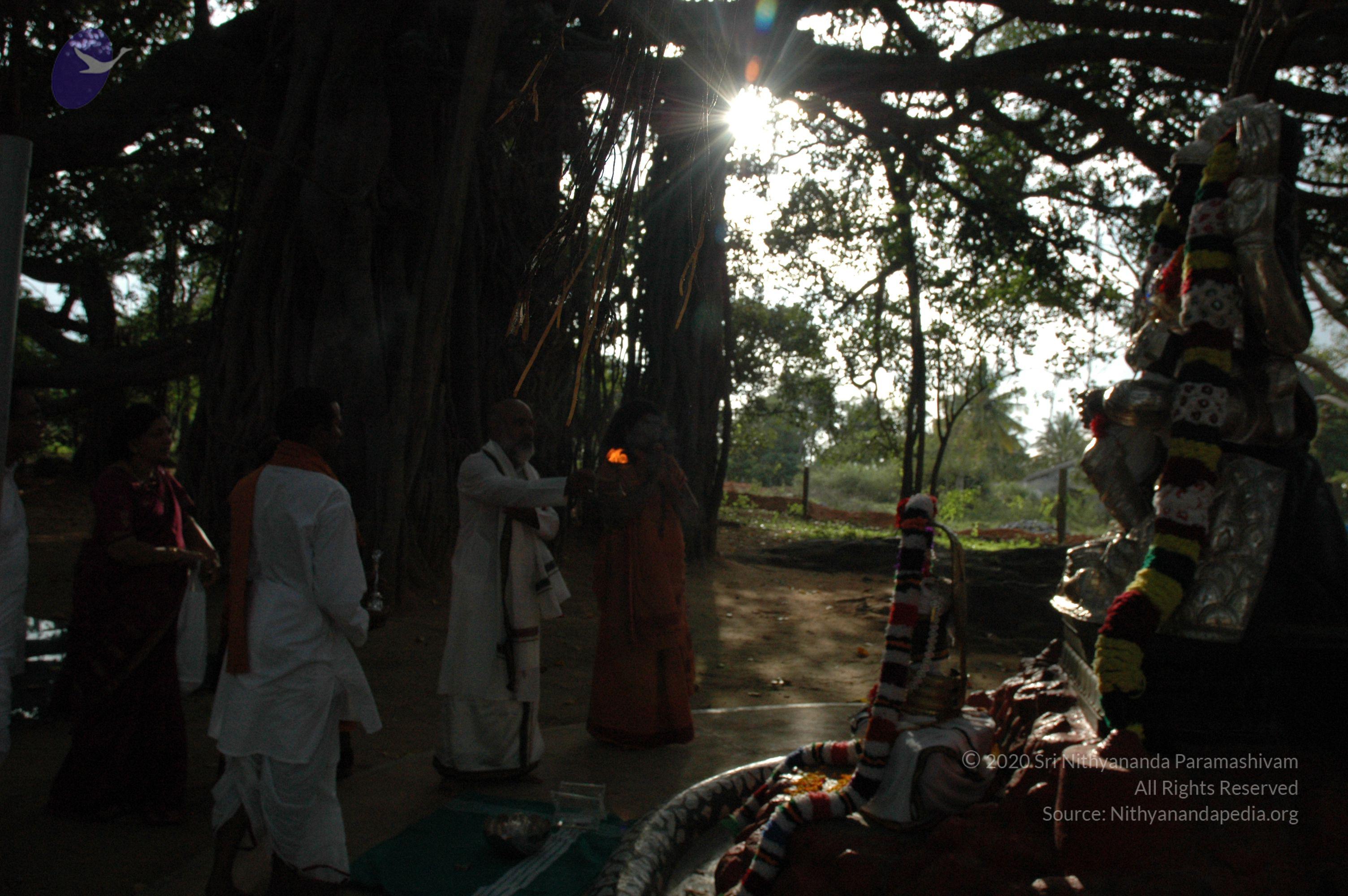 20061021_Photo_1020_DSC_8133_CMP_WM