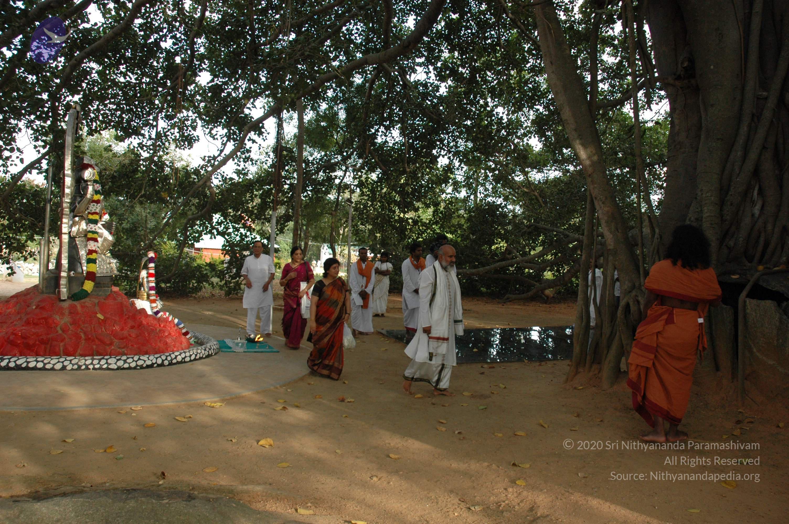 20061021_Photo_1025_DSC_8142_CMP_WM