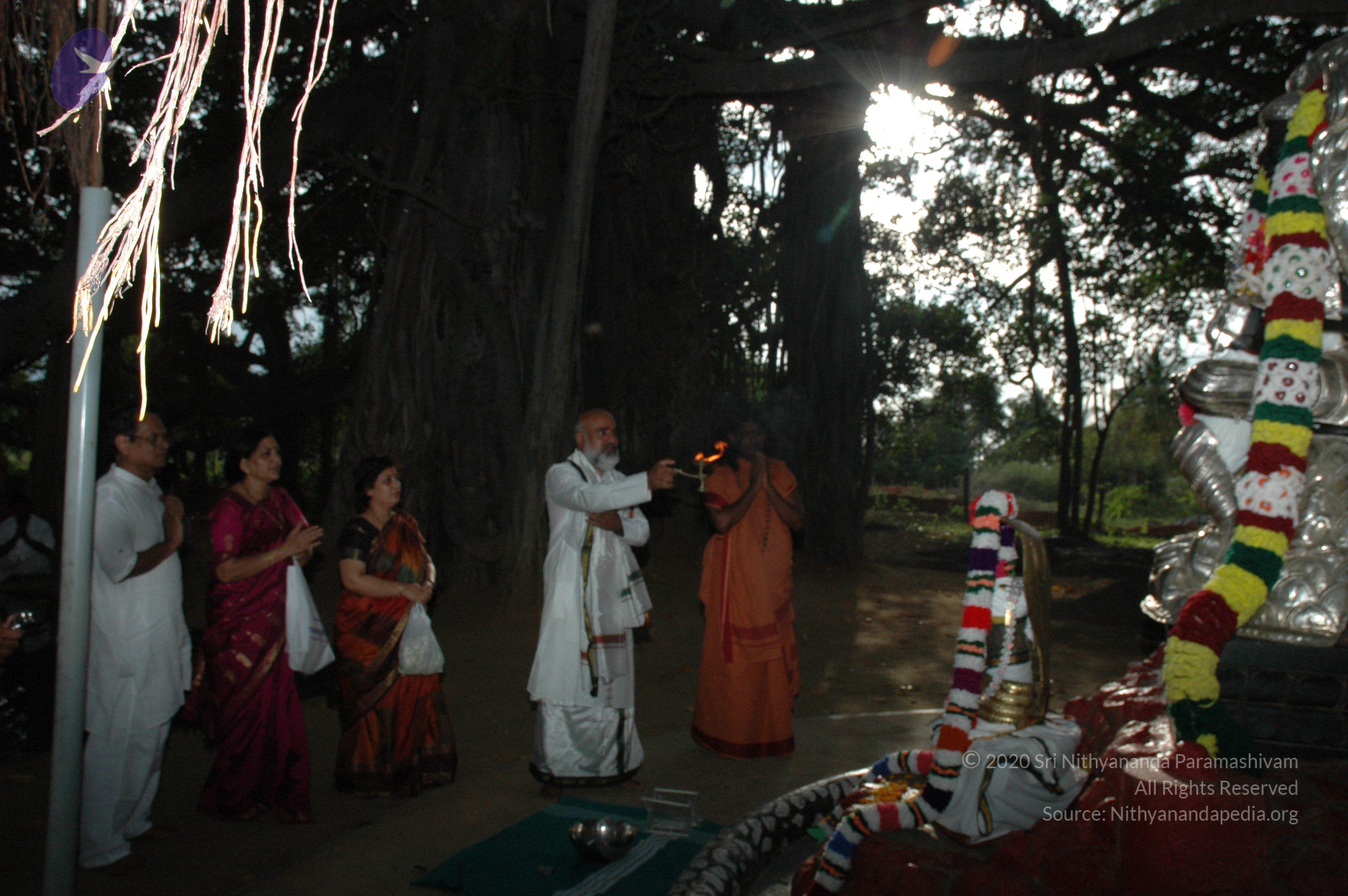 20061021_Photo_1030_DSC_8134_CMP_WM