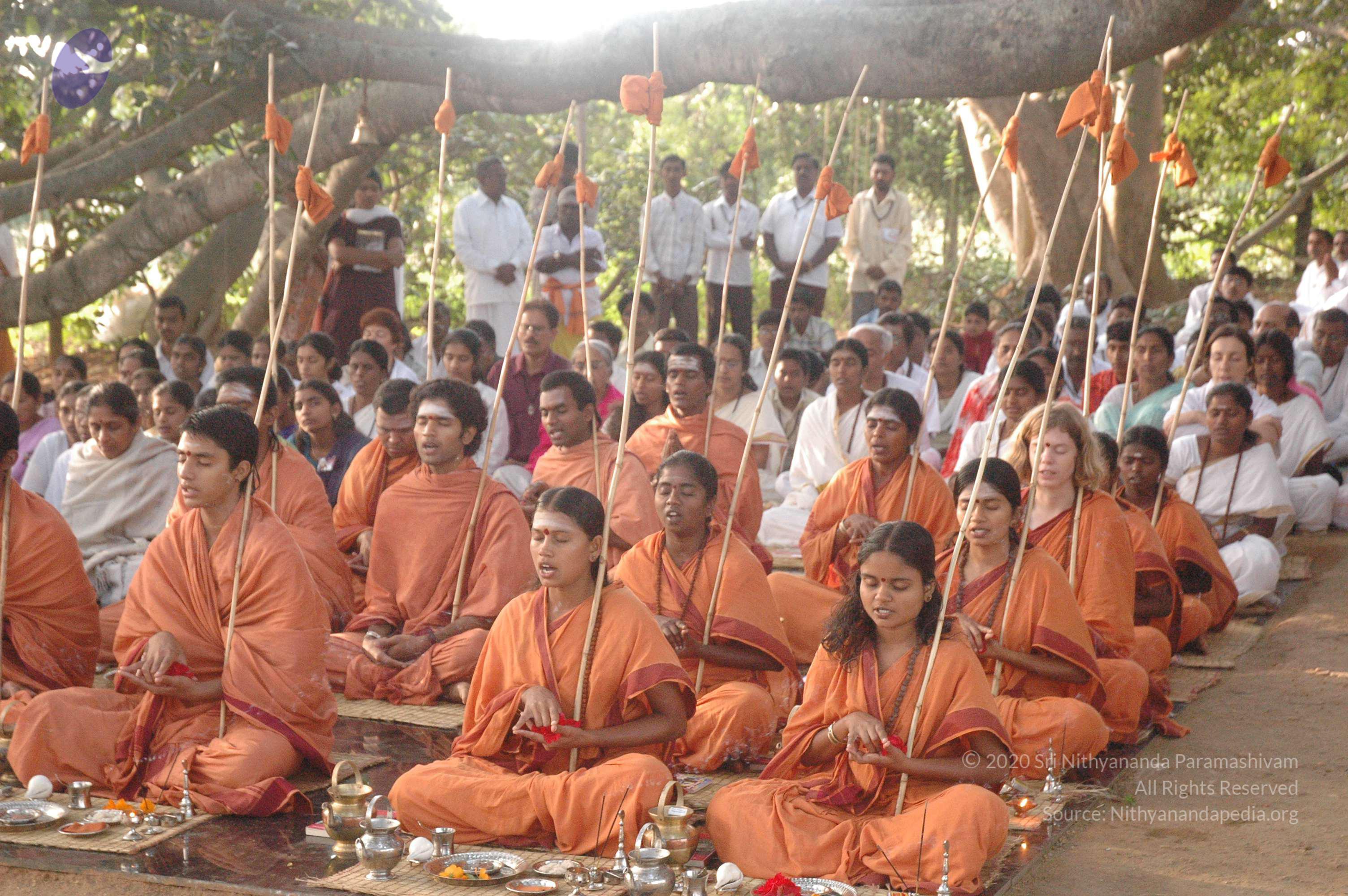 20061021_Photo_1012_DSC_9210_CMP_WM