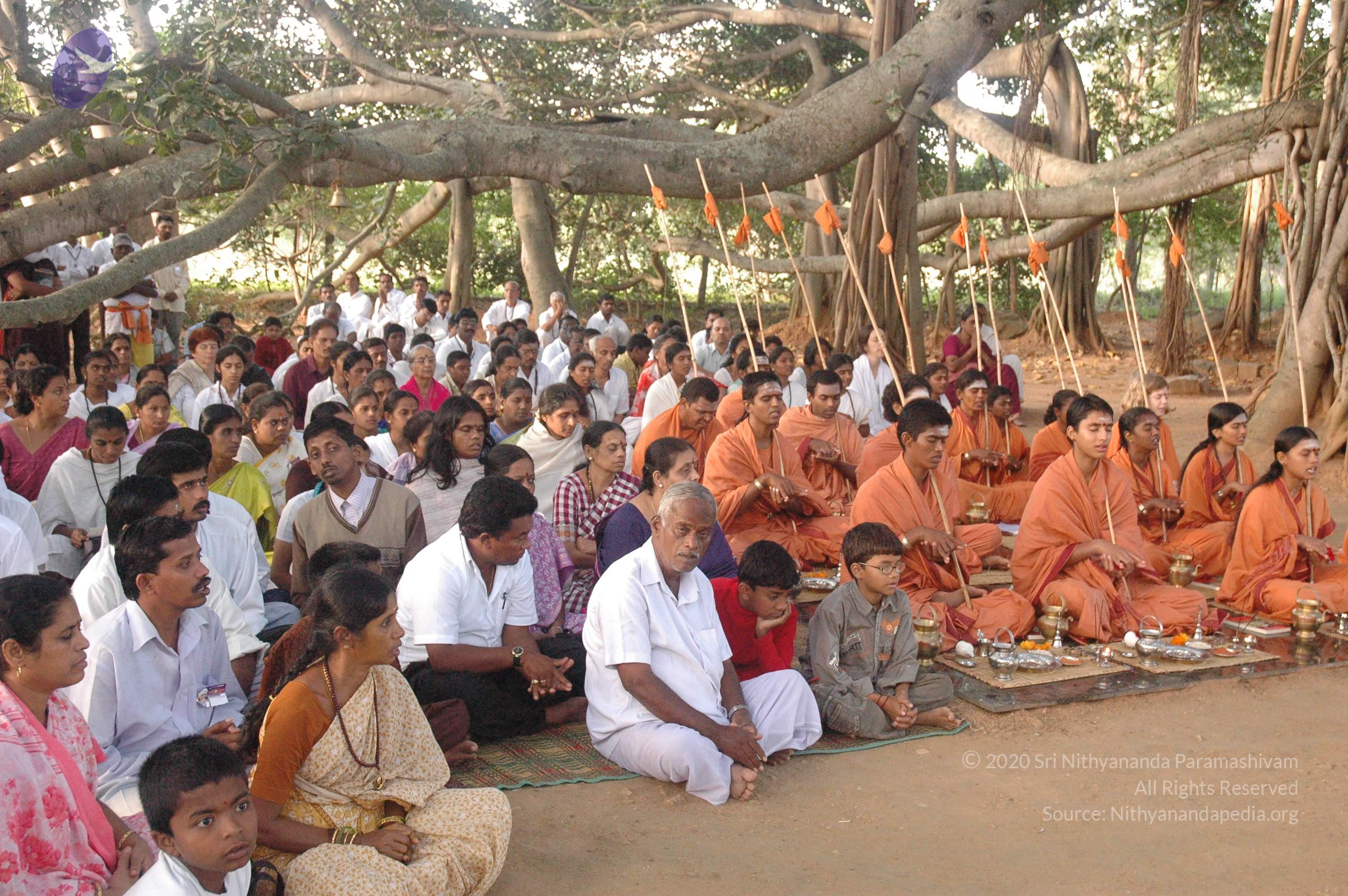 20061021_Photo_1014_DSC_9215_CMP_WM