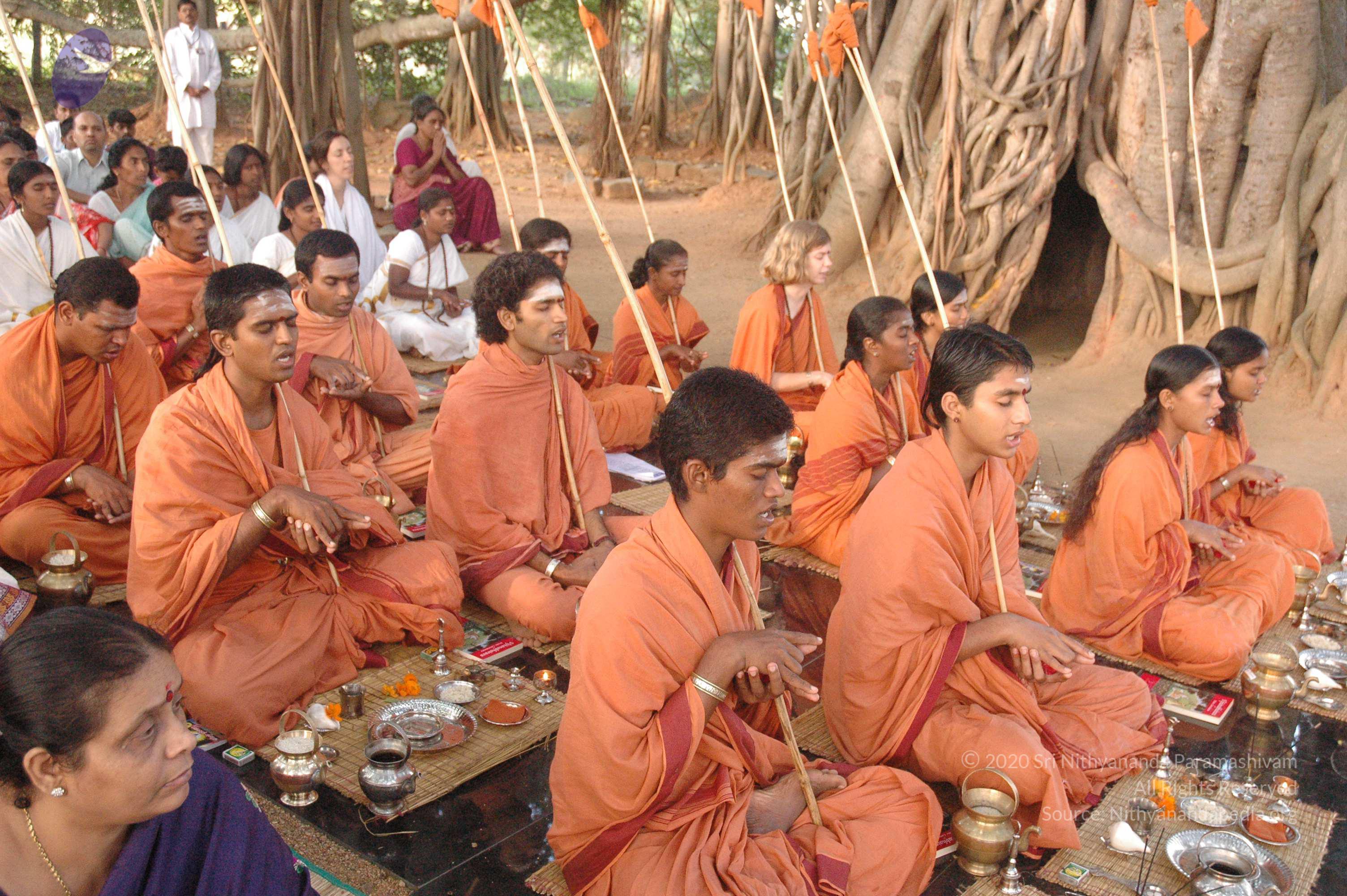 20061021_Photo_1021_DSC_9217_CMP_WM