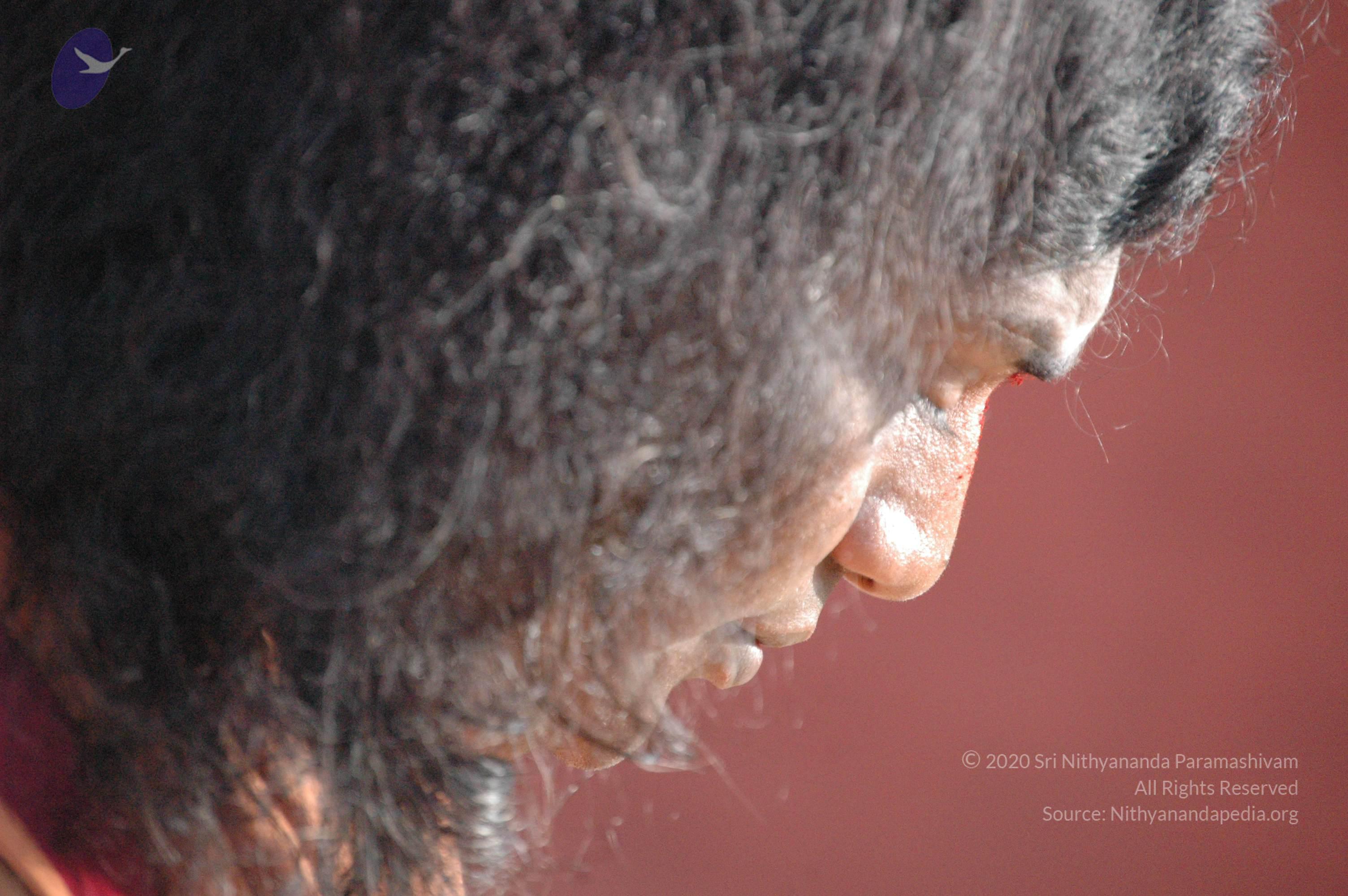 20061021_Photo_1000_DSC_7213_CMP_WM