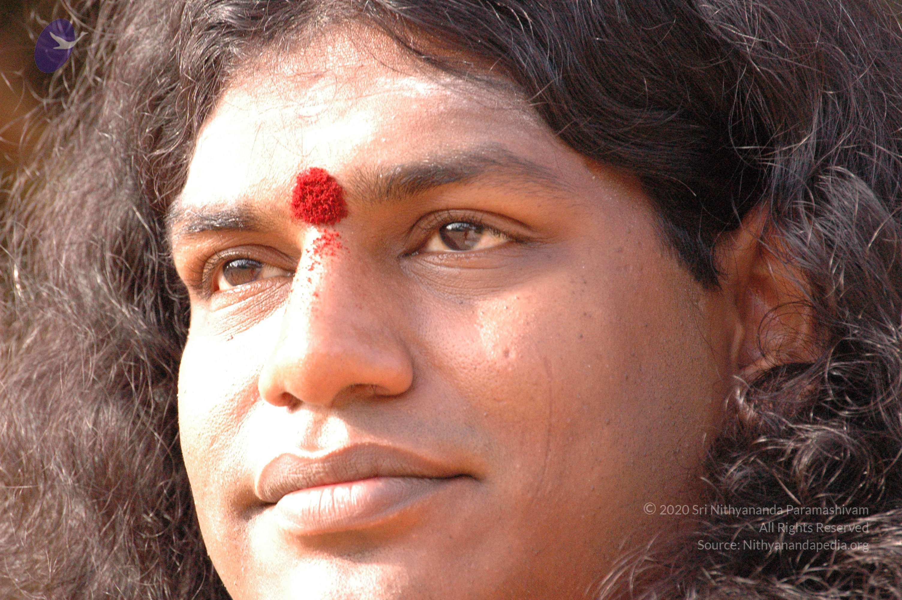 20061021_Photo_1006_DSC_7194_CMP_WM