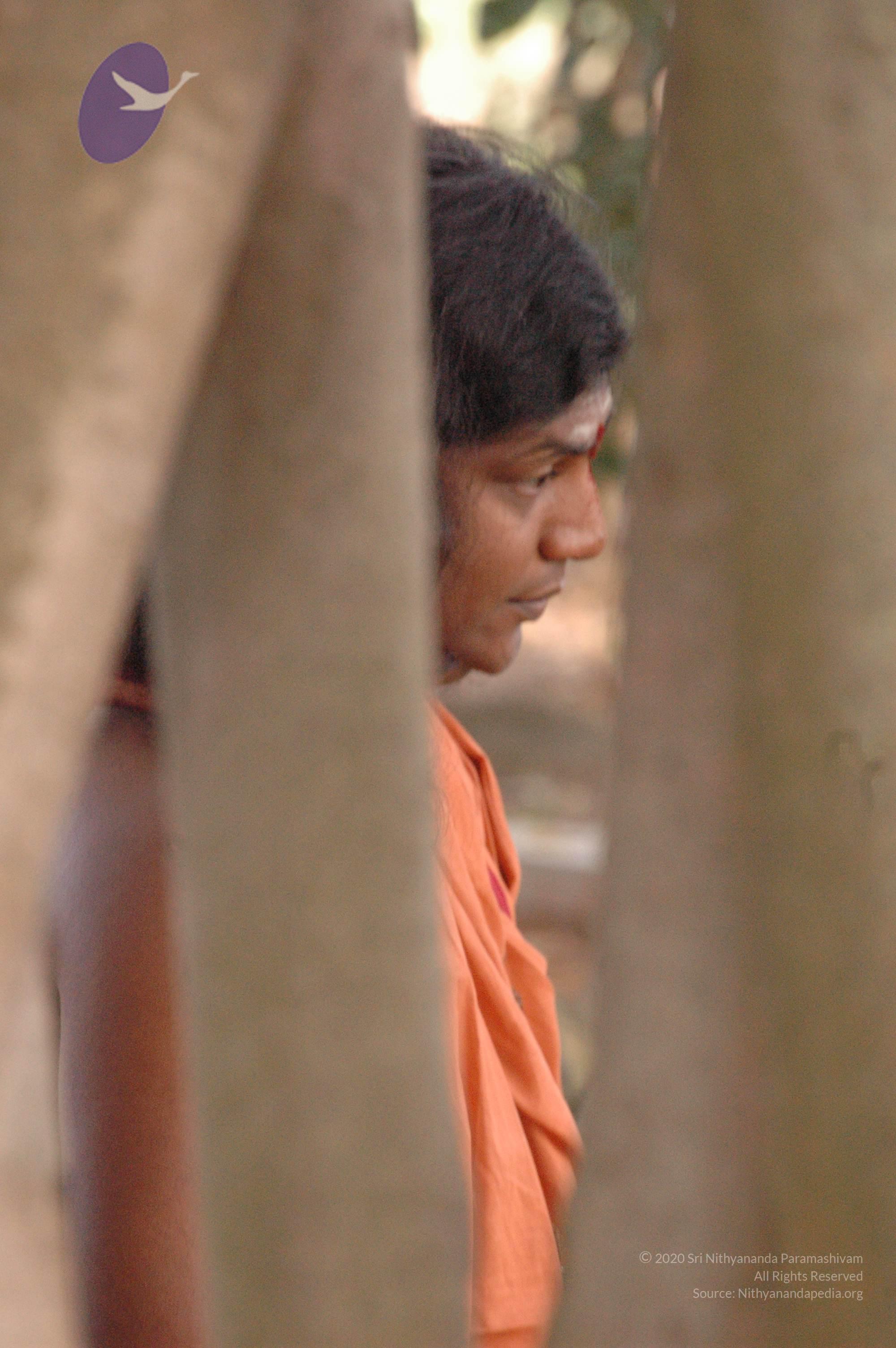 20061021_Photo_1014_DSC_7154_CMP_WM