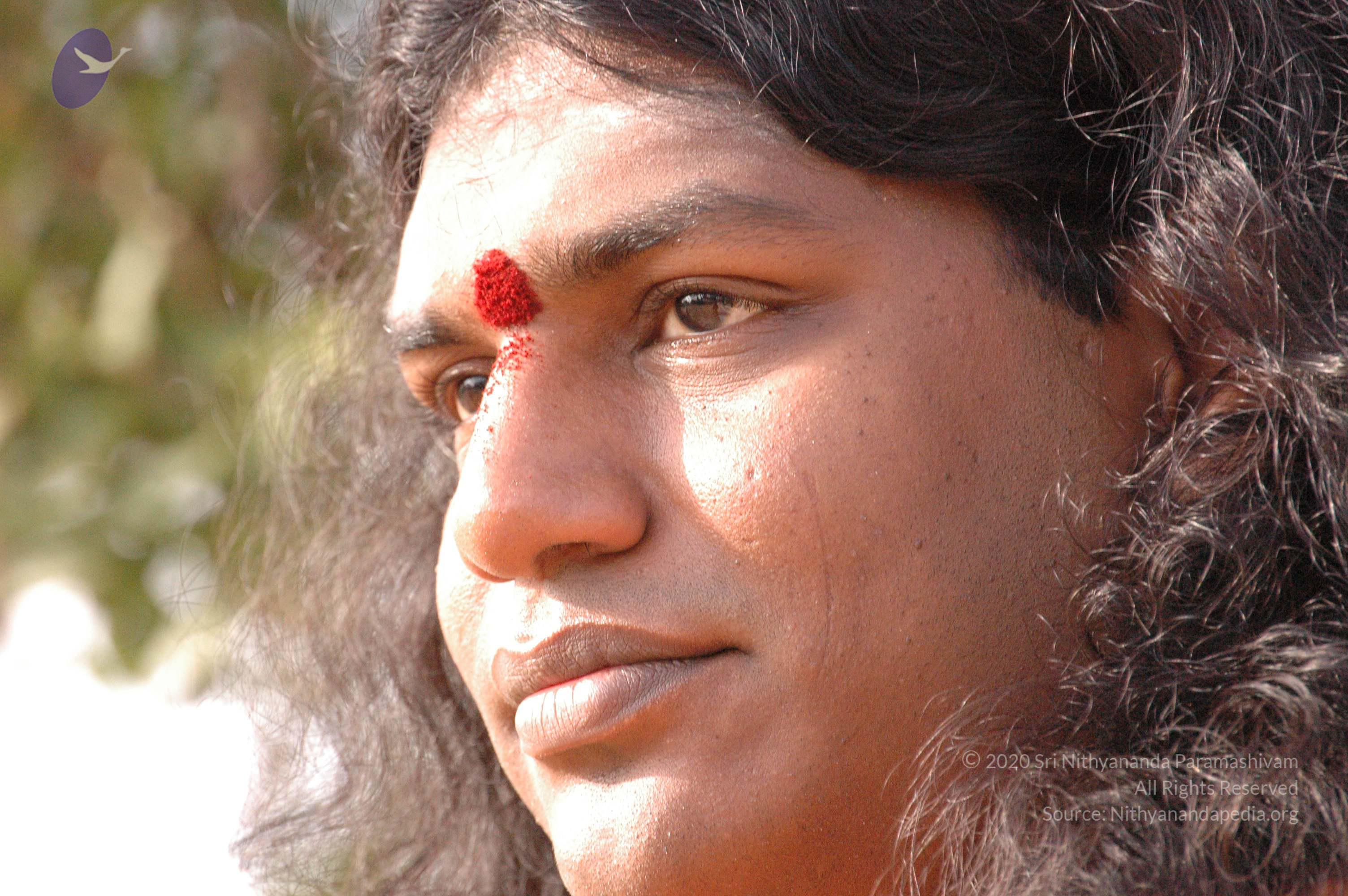 20061021_Photo_1019_DSC_7196_CMP_WM