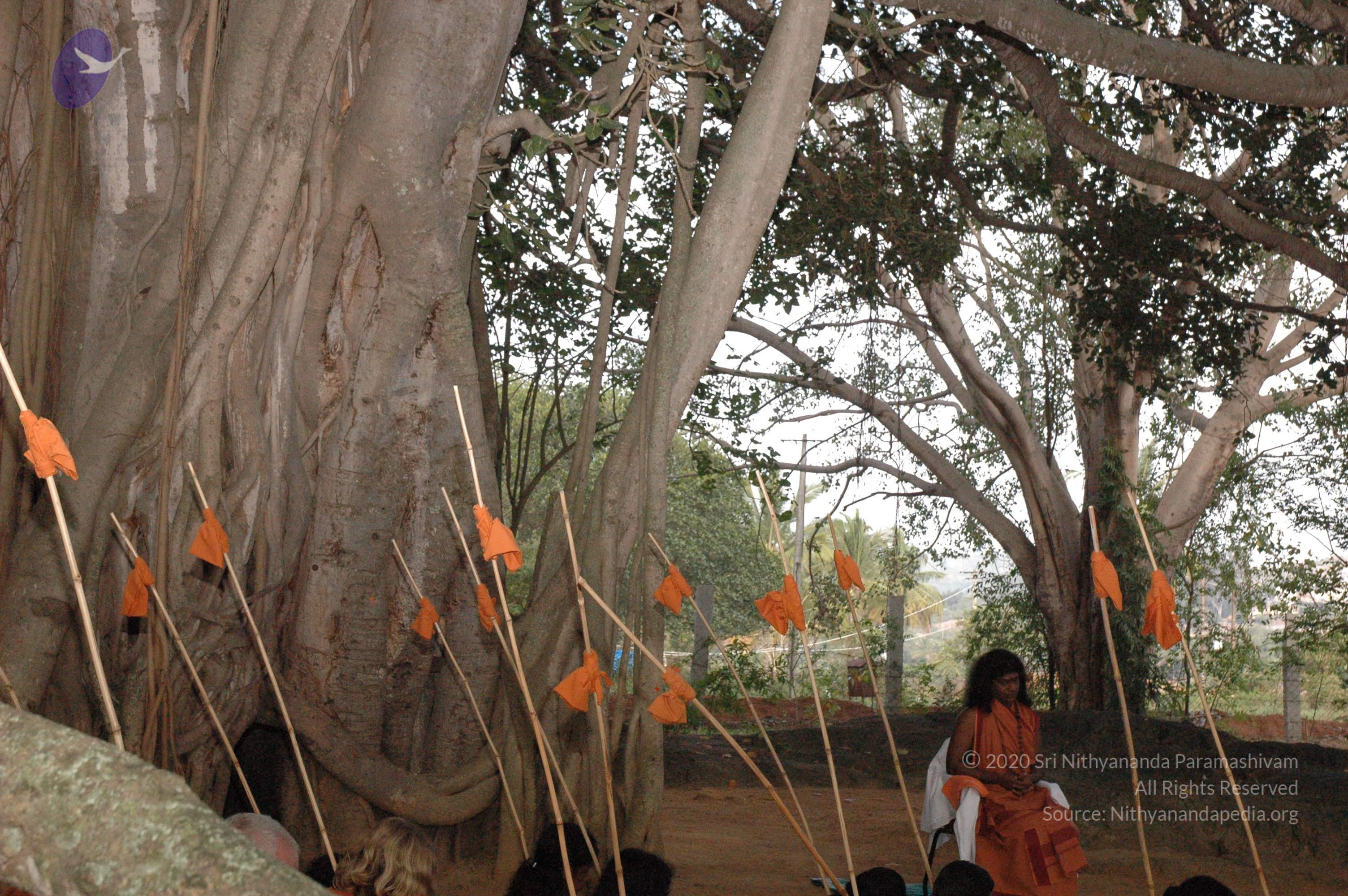 20061021_Photo_1026_DSC_7147_CMP_WM