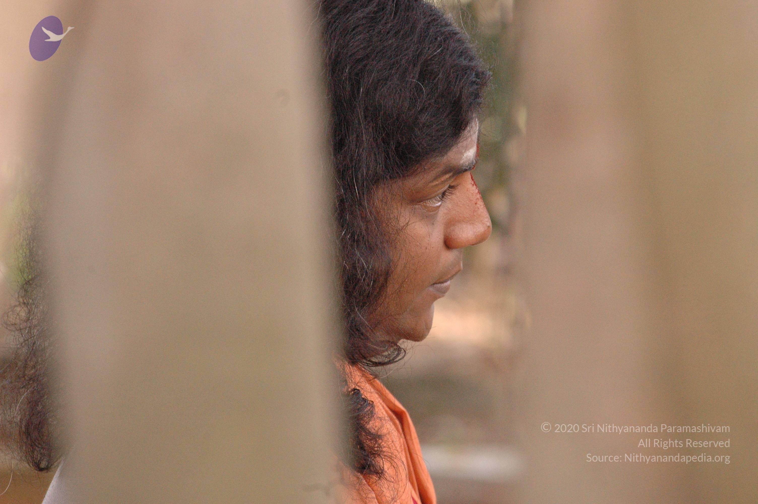 20061021_Photo_1029_DSC_7156_CMP_WM