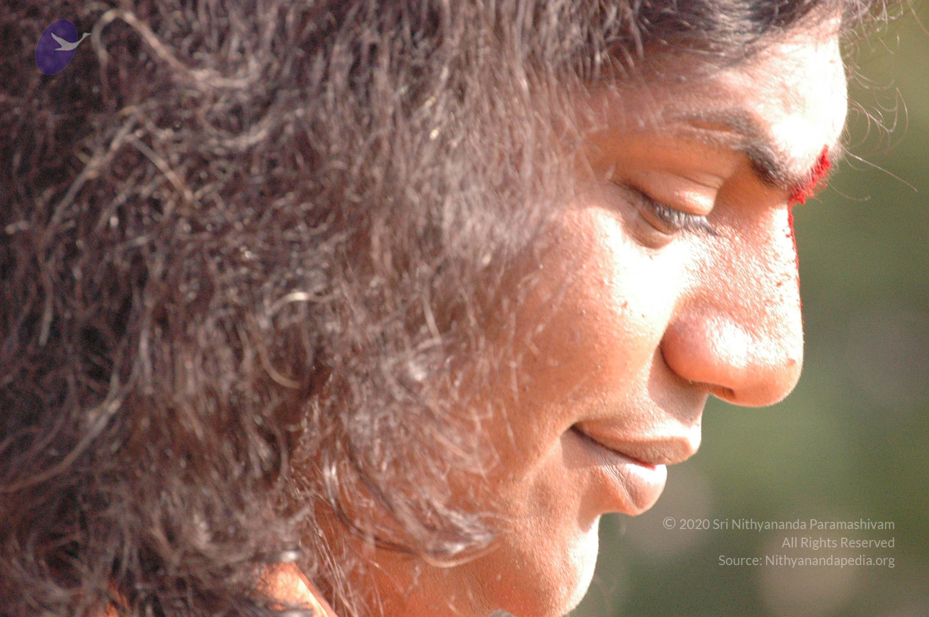 20061021_Photo_1034_DSC_7206_CMP_WM