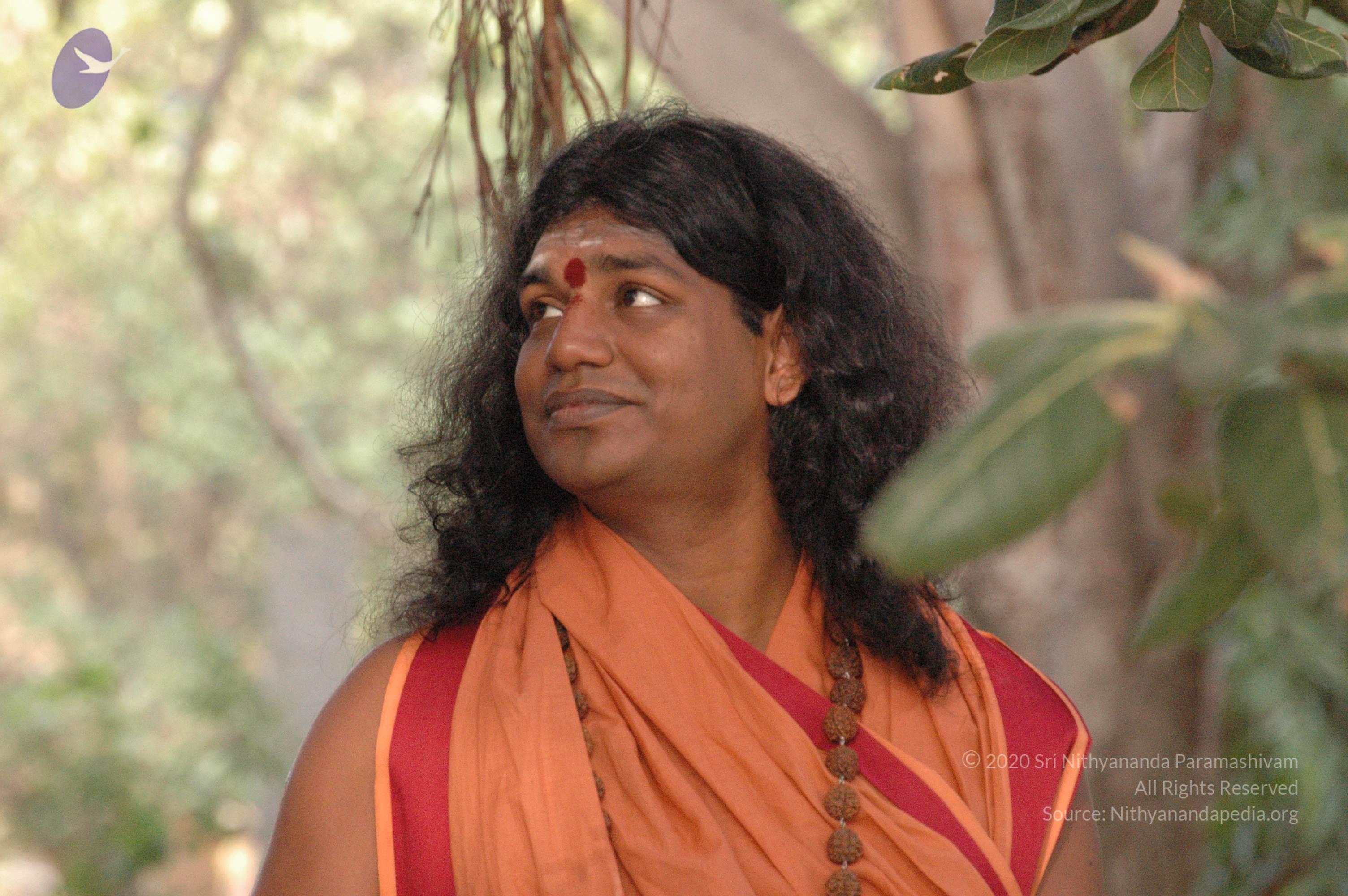 20061021_Photo_1037_DSC_7181_CMP_WM