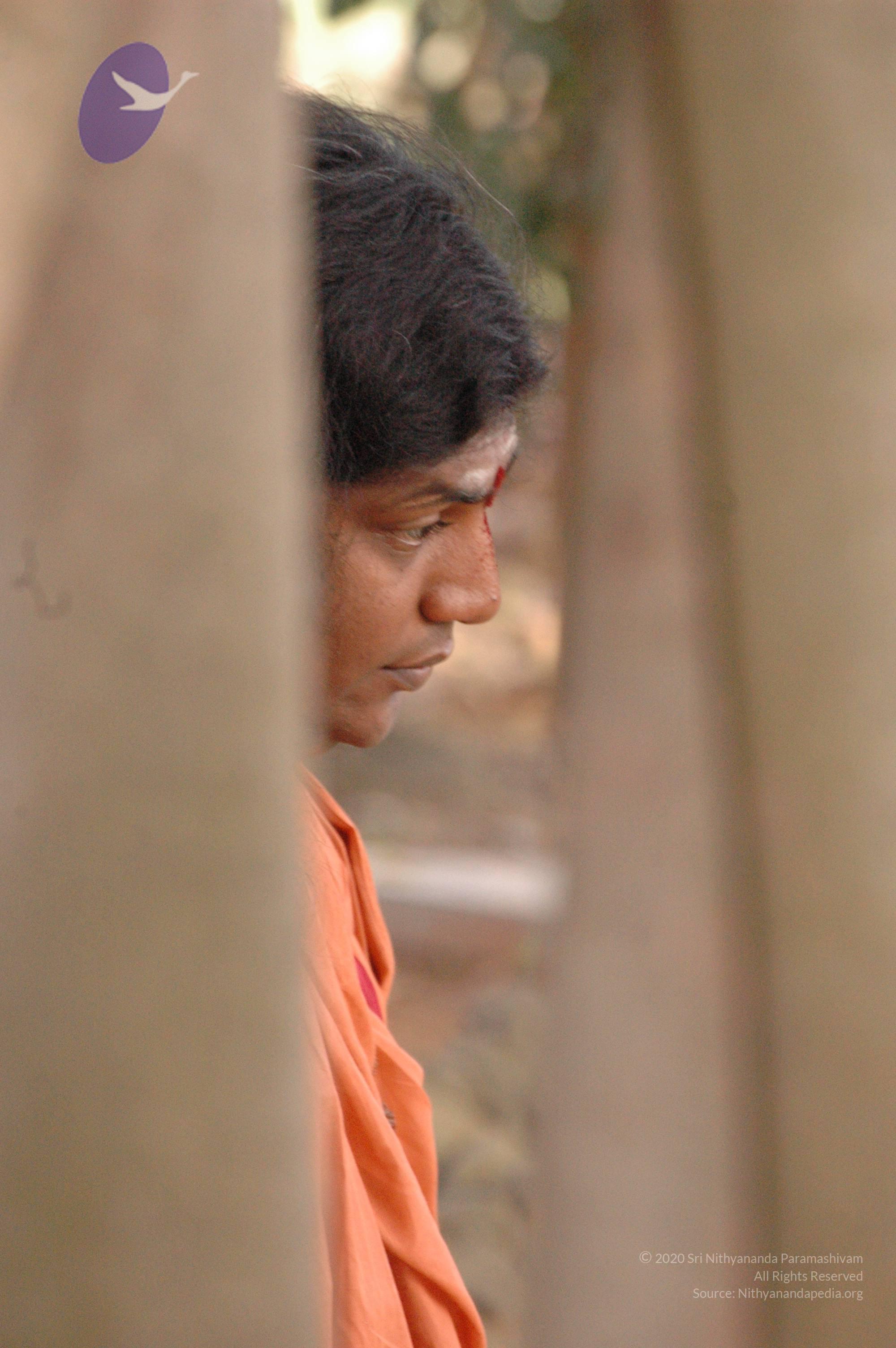 20061021_Photo_1039_DSC_7155_CMP_WM