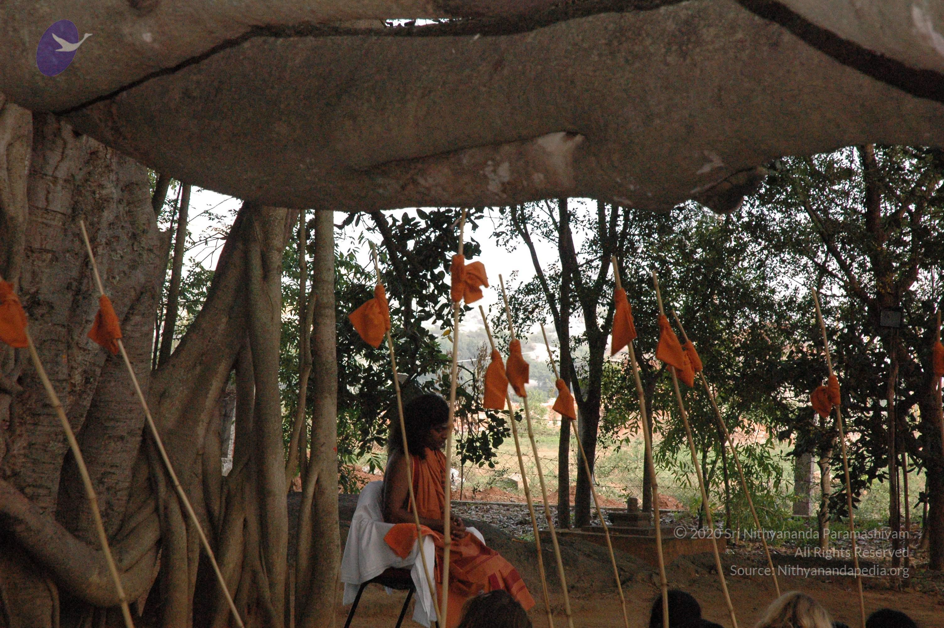 20061021_Photo_1043_DSC_7150_CMP_WM