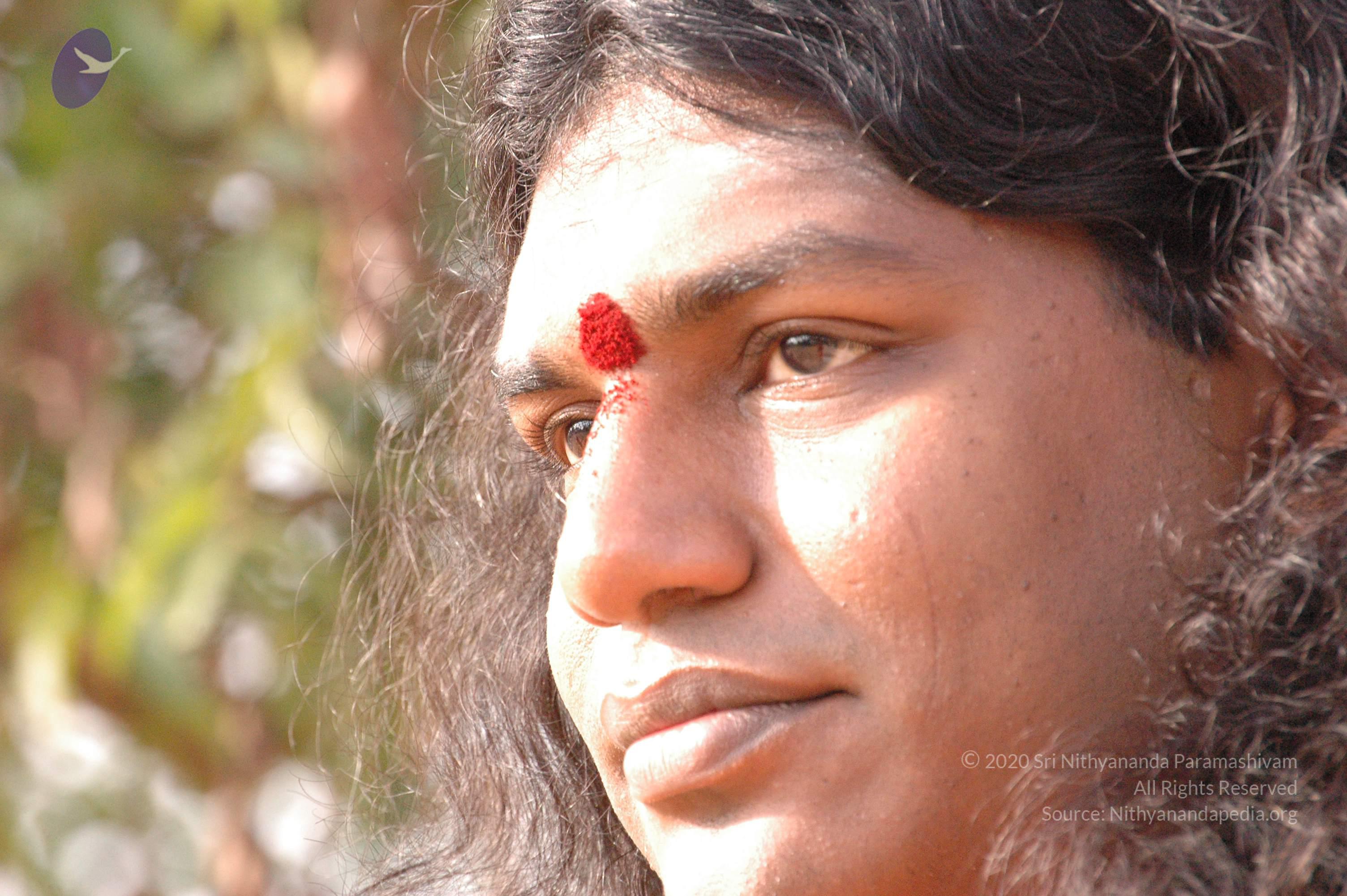 20061021_Photo_1047_DSC_7195_CMP_WM