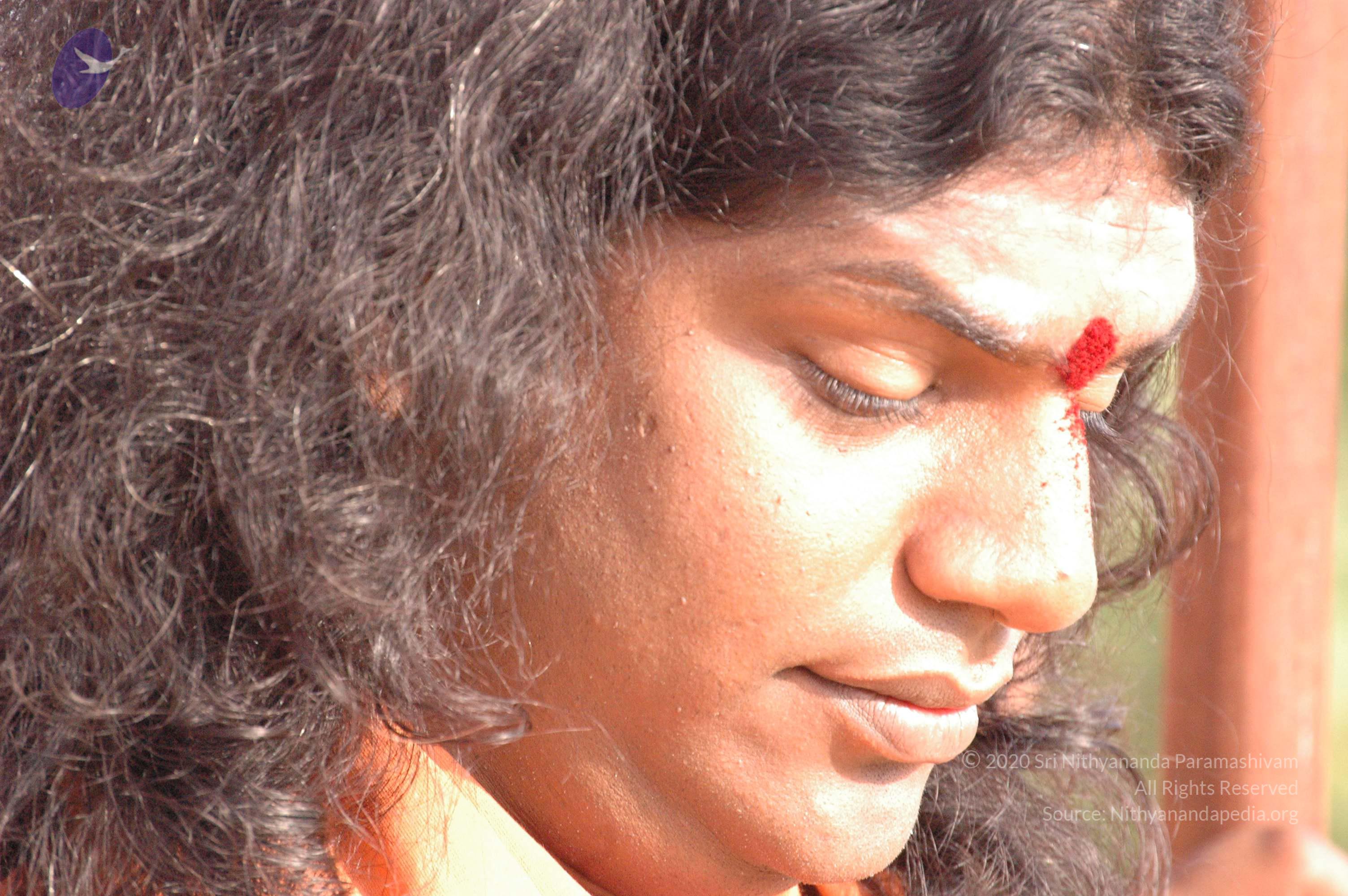 20061021_Photo_1049_DSC_7204_CMP_WM