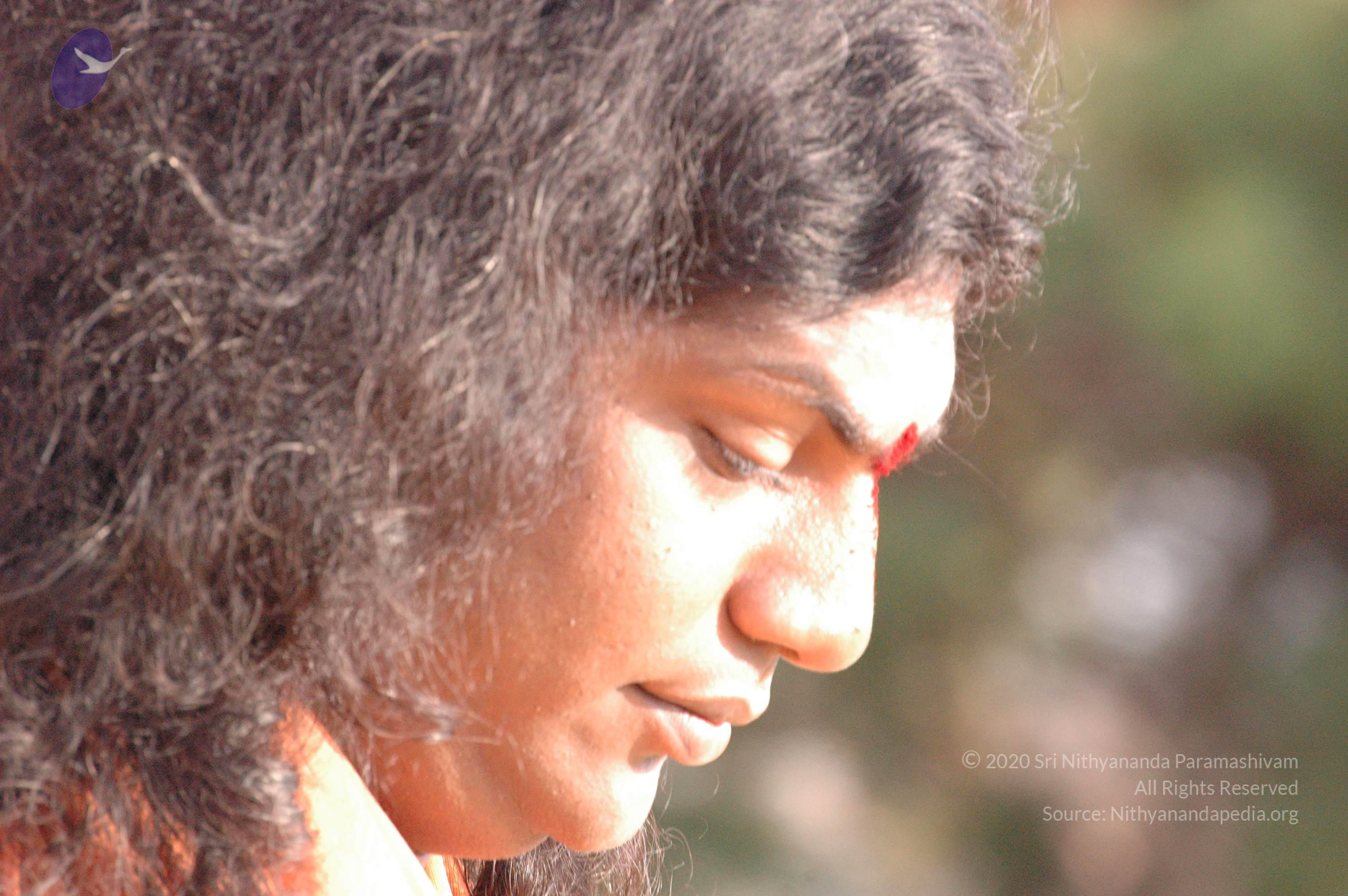 20061021_Photo_1052_DSC_7209_CMP_WM