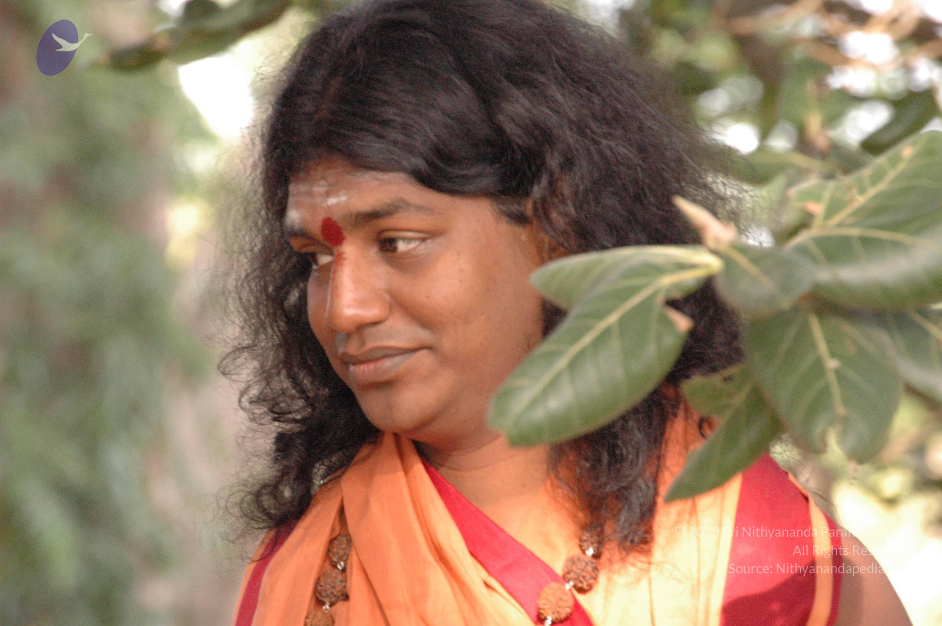 20061021_Photo_1054_DSC_7183_CMP_WM