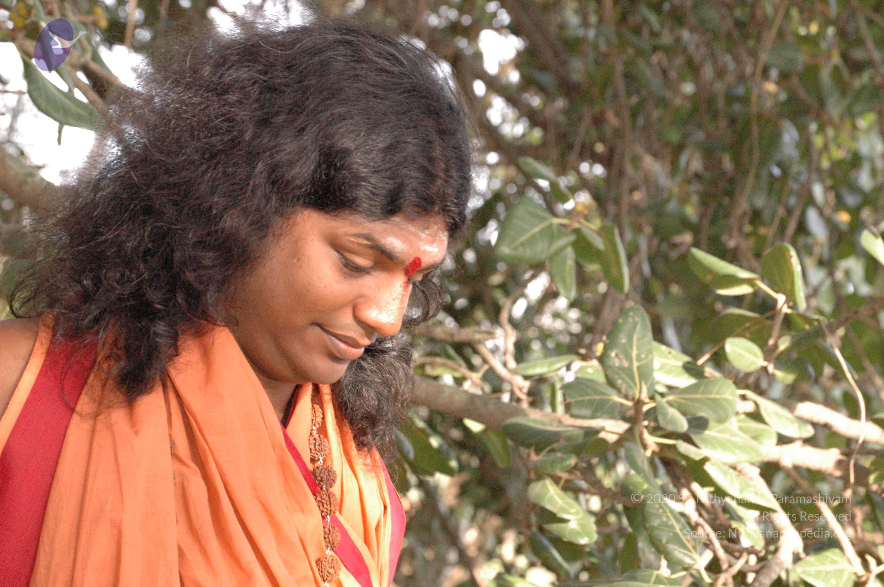 20061021_Photo_1056_DSC_7186_CMP_WM