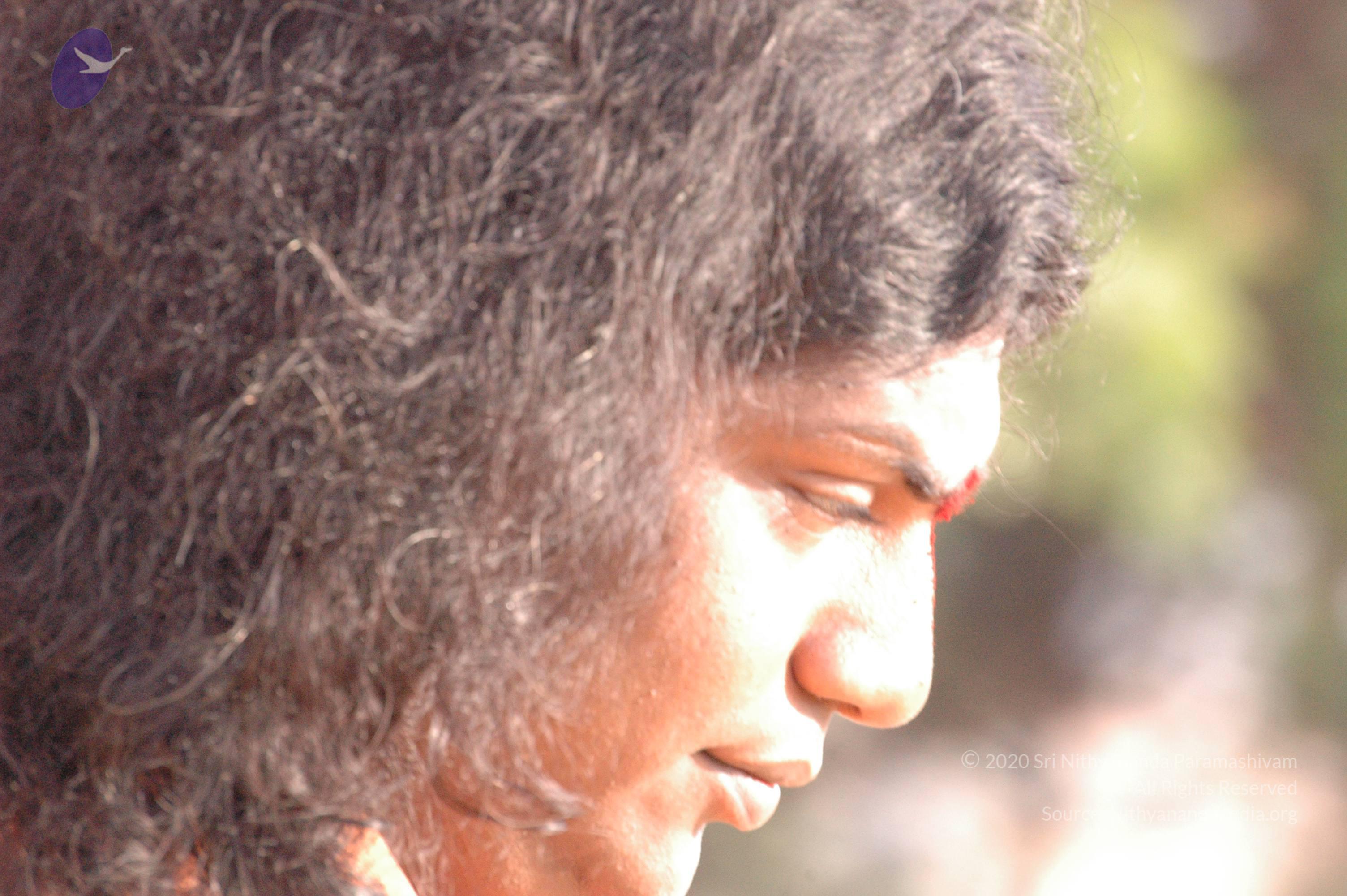 20061021_Photo_1057_DSC_7210_CMP_WM