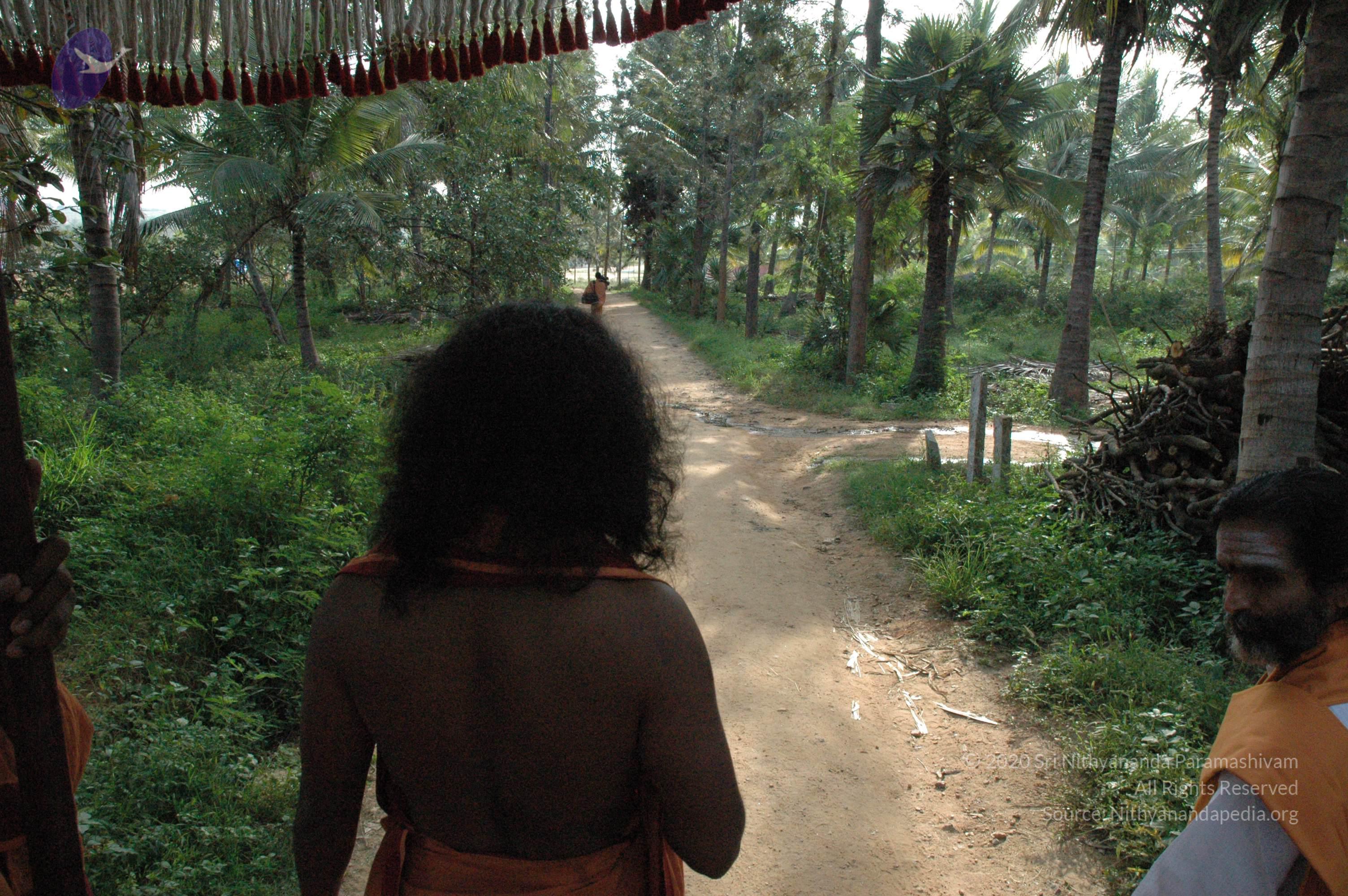 20061021_Photo_1001_DSC_7224_CMP_WM