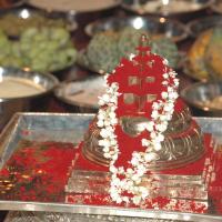 20061021_Photo_1000_DSC_8859_CMP_WM