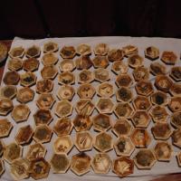 20061021_Photo_1045_DSC_8726_CMP_WM