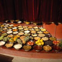 20061021_Photo_1091_DSC_8771_CMP_WM