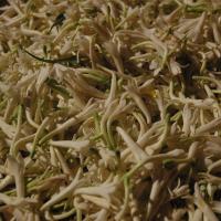 20061021_Photo_1137_DSC_8734_CMP_WM