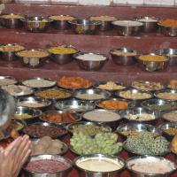 20061021_Photo_1145_DSC_8902_CMP_WM