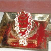 20061021_Photo_1174_DSC_8857_CMP_WM