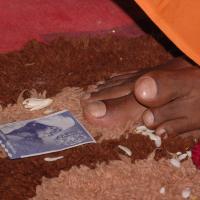 20061021_Photo_1060_DSC_9450_CMP_WM