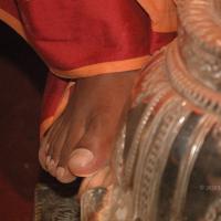 20061021_Photo_1160_DSC_8685_CMP_WM