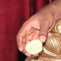 20061021_Photo_1212_DSC_7285_CMP_WM