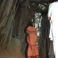 20061021_Photo_1004_DSC_8149_CMP_WM