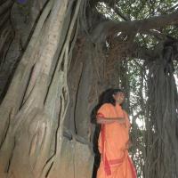 20061021_Photo_1014_DSC_8150_CMP_WM