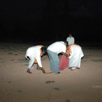 20061021_Photo_1018_DSC_8364_CMP_WM