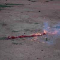 20061021_Photo_1030_DSC_8304_CMP_WM