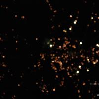 20061021_Photo_1006_DSC_8522_CMP_WM