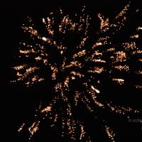 20061021_Photo_1020_DSC_8530_CMP_WM