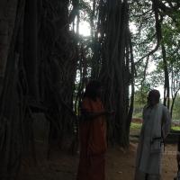 20061021_Photo_1013_DSC_8143_CMP_WM