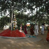 20061021_Photo_1019_DSC_8140_CMP_WM