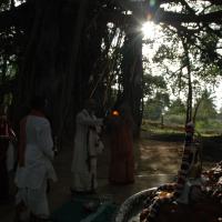 20061021_Photo_1020_DSC_8133_CMP_WM