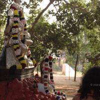 20061021_Photo_1009_DSC_7159_CMP_WM