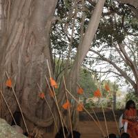 20061021_Photo_1026_DSC_7147_CMP_WM