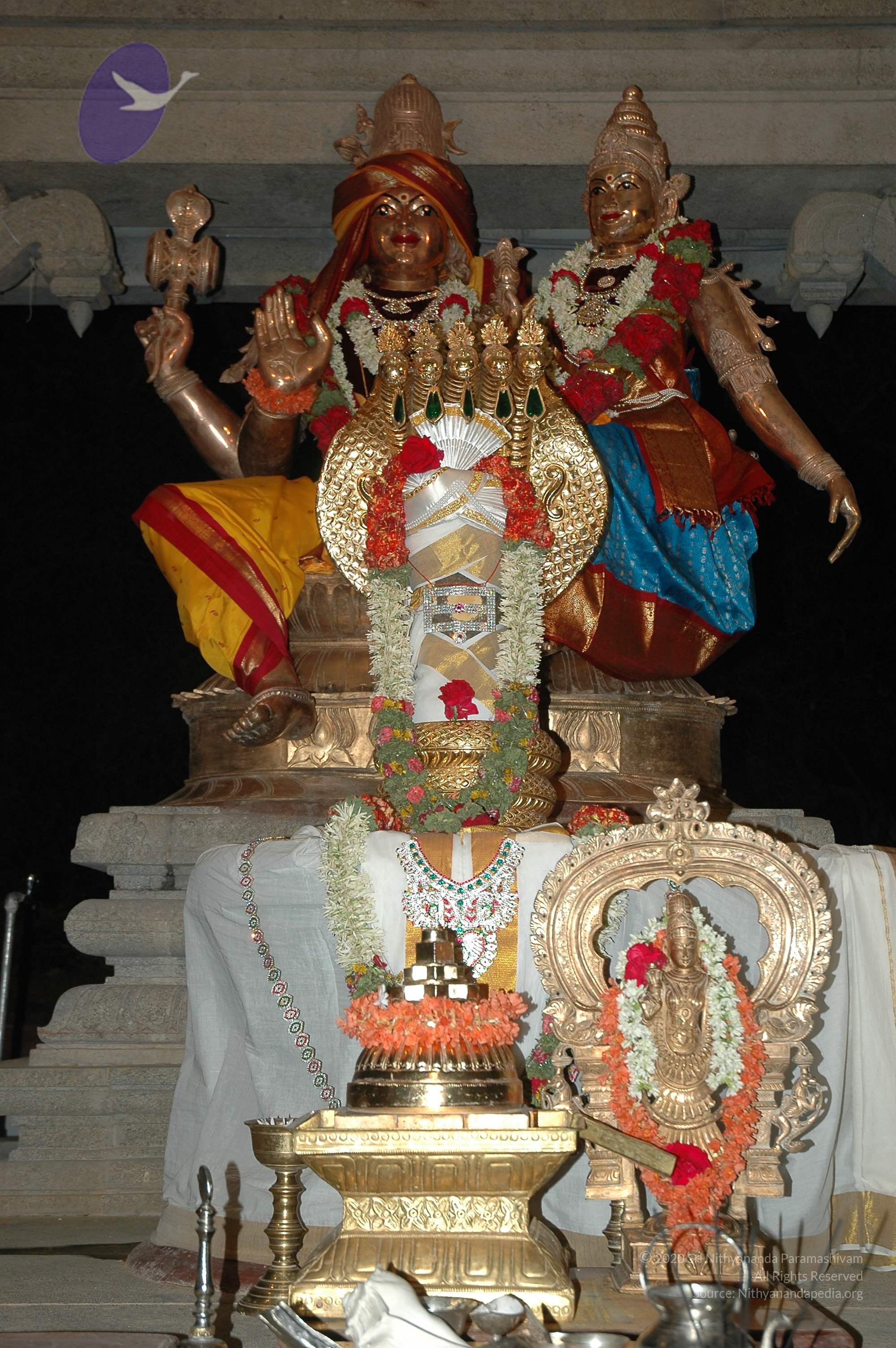 20070421_Photo_1001_DSC_1427_CMP_WM