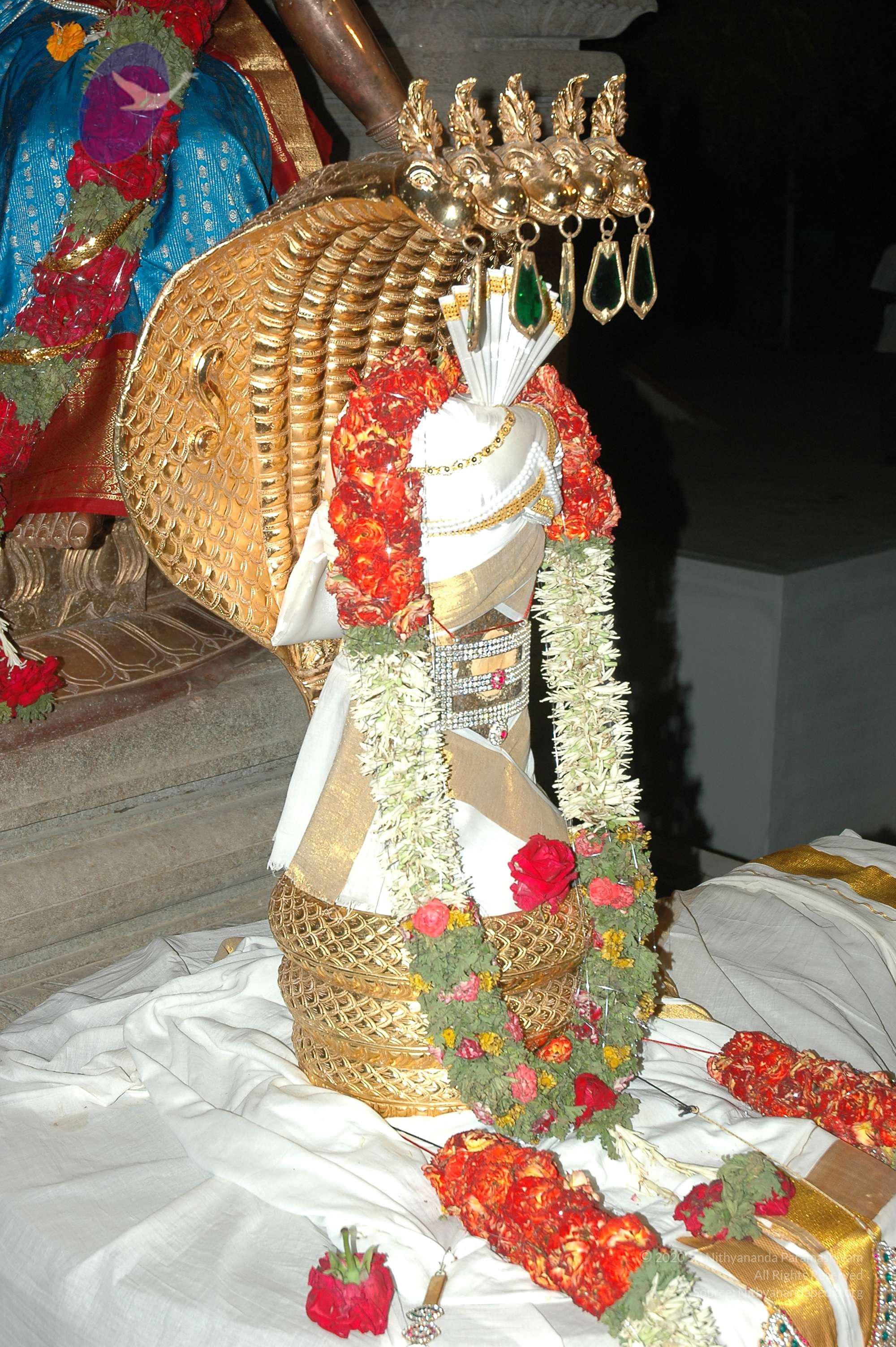 20070421_Photo_1003_DSC_1434_CMP_WM