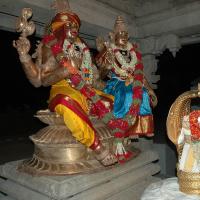 20070421_Photo_1009_DSC_1432_CMP_WM