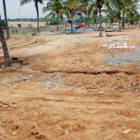 20070421_Photo_1023_DSC_1701_CMP_WM