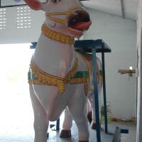 20070421_Photo_1002_DSC_1713_CMP_WM