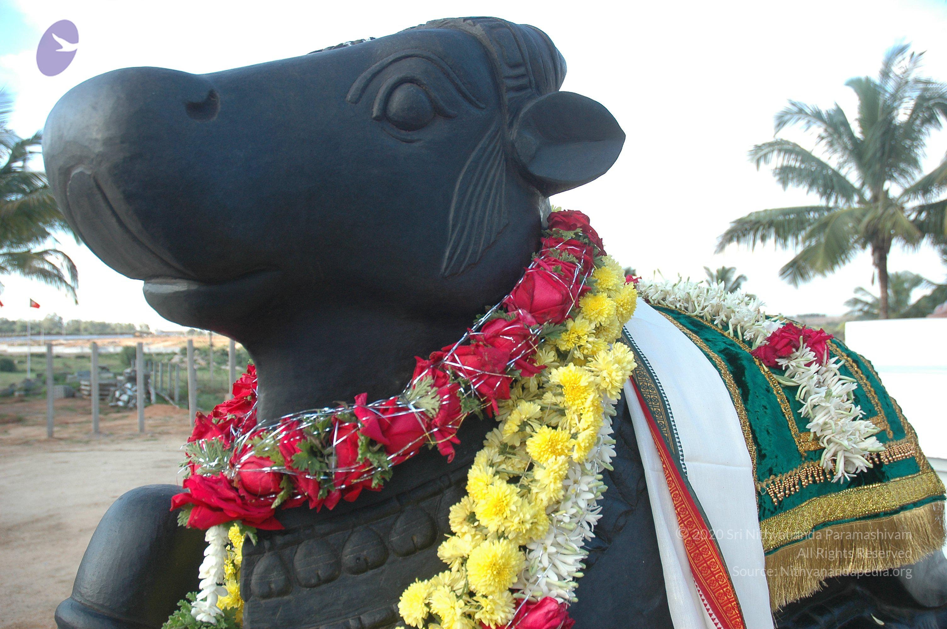 20070826_Photo_193_11iXCuWqk-THhykVR8je0uSd87c-UX9pV